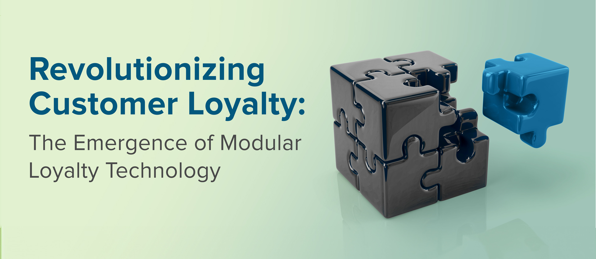 Modular Loyalty eBook