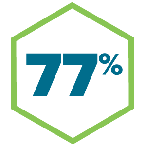 77 percent