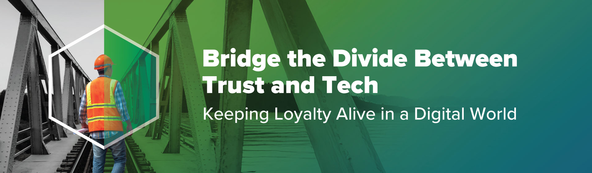 Bridging the Loyalty Divide
